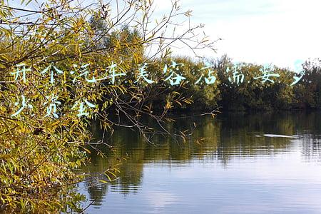 开一家汽车美容店赚钱吗，开汽车保养店赚钱吗