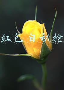 微信红包自动抢最佳