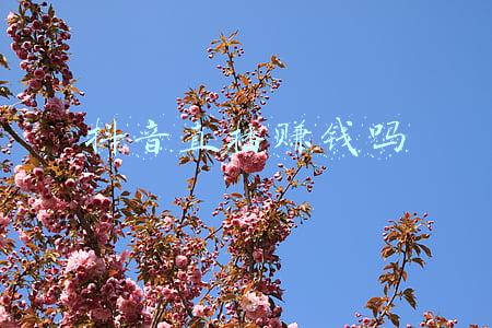 抖音直播赚钱吗