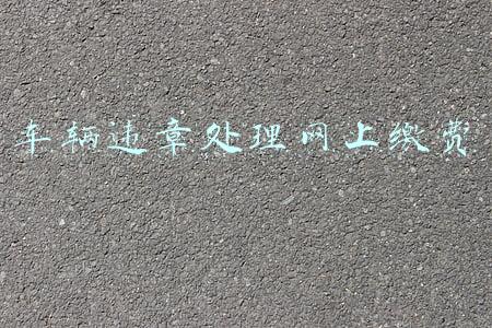 车辆违章处理网上缴费
