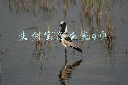 支付宝怎么充q币