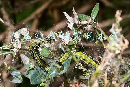 怎么赚钱快不用本钱