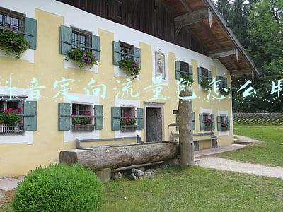 买了抖音定向流量包怎么用(移动定向流量这样用)