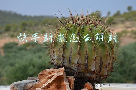 快手封禁怎么解封