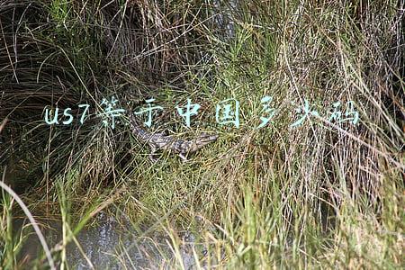 us7等于中国多少码