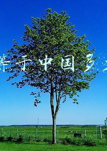 us7等于中国多少码