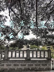手机没有声音显示耳机模式怎么办