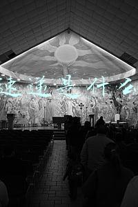 极兔速递快递单号查询(极兔快递单号批量查询 快速查询错分件)