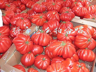 抖音怎么拍合唱