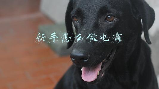 新手怎么做电商