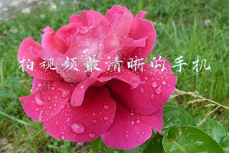 拍视频最清晰的手机