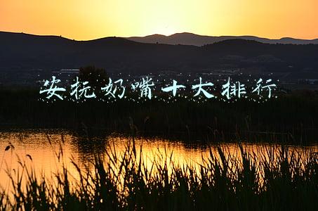 安抚奶嘴十大排行