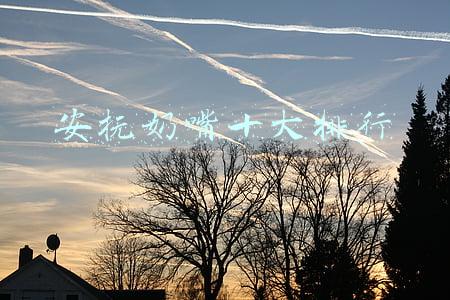 安抚奶嘴十大排行