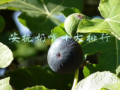 安抚奶嘴十大排行