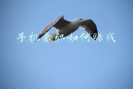 手机兼职如何赚钱