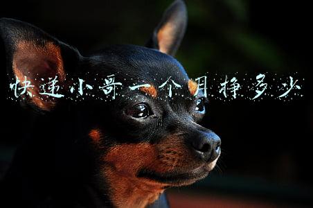 快递小哥一个月挣多少