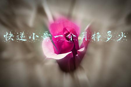 快递小哥一个月挣多少钱(30万快递小哥，人均月薪超1万！千亿物流龙头首份年报来了)