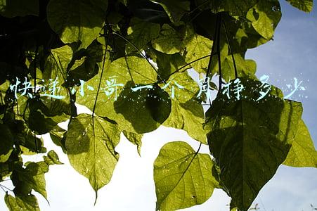 快递小哥一个月挣多少