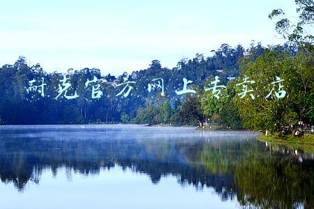 耐克官方网上专卖店