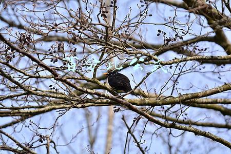 百分比公式怎么输入(Excel设置自动计算百分比公式)