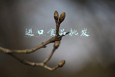 进口食品批发