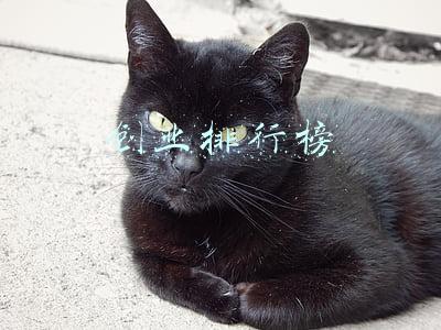 创业排行榜