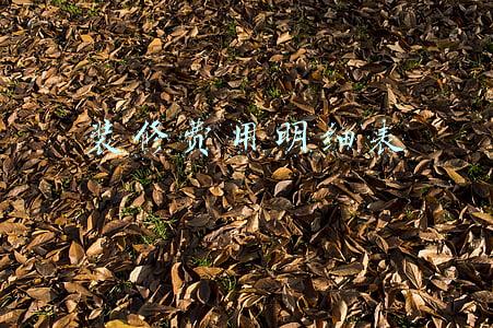 装修费用明细表