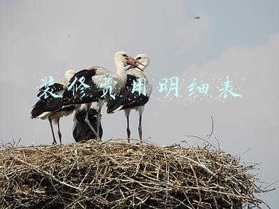 装修公司报价明细表格(业主报价出炉，每平折3.5万，就在洪山区核心区)
