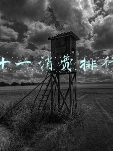 双十一消费排行榜