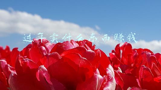 过年卖什么东西赚钱