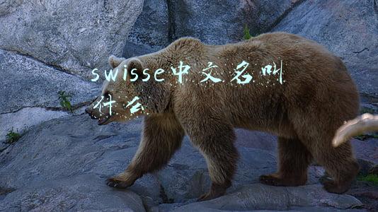 swisse中文名叫什么