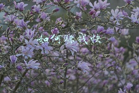 如何赚钱快