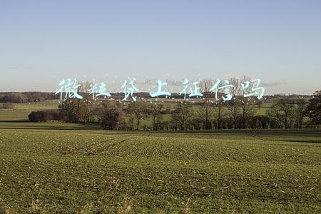 微粒贷上征信吗