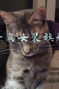 太平鸟女装旗舰店