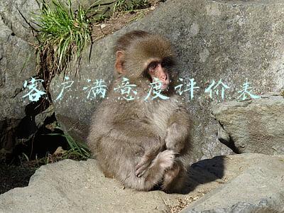 客户满意度评价表