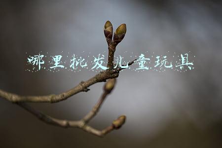 哪里批发儿童玩具