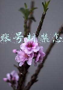 快手账号封禁是永久吗(快手永久封禁上万色情账号)
