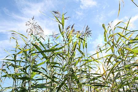 现在贷款利率是多少(多地房贷利率跟随LPR下调 有银行首套房按揭贷款利率最低降至4.9%)