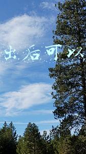 快递发出后可以改地址吗