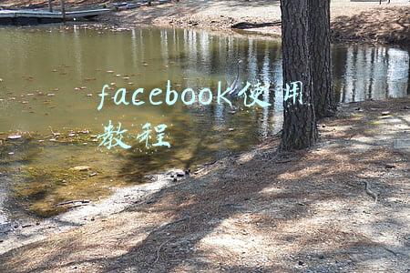 facebook使用教程