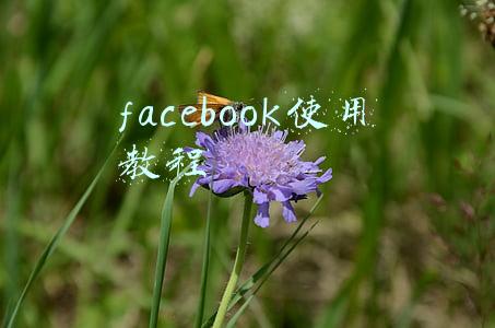 facebook使用教程