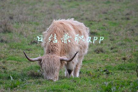 日结兼职app充场靠谱吗(日结充场是做啥的？好玩吗？有意义吗？)