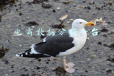 电商数据分析平台