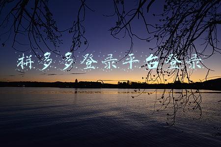 拼多多首页登录(弘辽科技：怎么样才可以上拼多多首页推荐呢？)