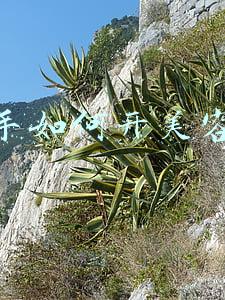 新手开美容店成功率多少(美容院加盟整店输出的优点)