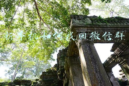 手机如何建微信群(老年人学手机（121）微信群很方便的「接龙」功能)