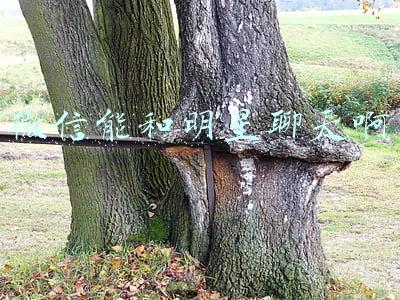 微信能和明星聊天啊