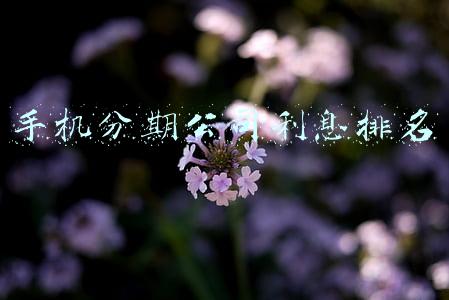 手机分期公司利息排名