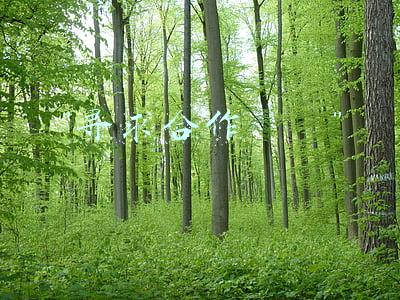 寻求合作的平台(最前线 |「Impact」收购合作伙伴内容营销项目管理平台Pressboard，打造合作伙伴营销生态)