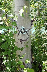 古代金币怎么画(是谁在明海沙滩上绘制了钱币图案)